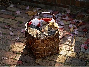 《漫威蜘蛛侠2》两位蜘蛛侠可一键随时随地切换